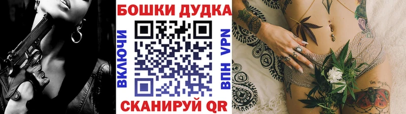 где купить наркоту  Заозёрск  Каннабис ГИДРОПОН 